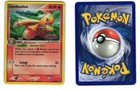 Combusken