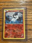 Reshiram