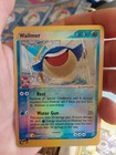 Wailmer