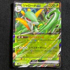 Serperior ex