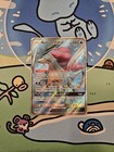 Suicune GX
