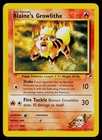 Blaine's Growlithe