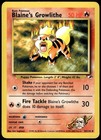 Blaine's Growlithe