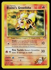 Blaine's Growlithe