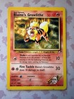 Blaine's Growlithe