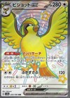 Pidgeot ex