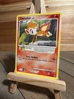 Chimchar