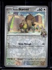 Arven's Skwovet