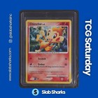 Chimchar