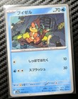 Buizel