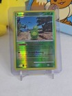 Budew