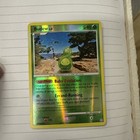 Budew