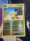 Budew