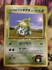 Erika's Bulbasaur