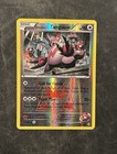 Zangoose