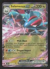 Salamence ex