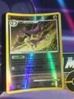 Delcatty