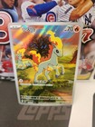 Ponyta