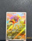 Ponyta