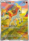Ponyta