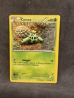 Cacnea