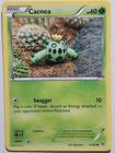 Cacnea