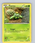 Cacnea