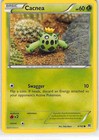 Cacnea