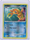 Buizel