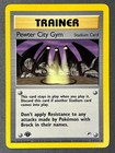 Pewter City Gym