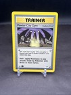 Pewter City Gym