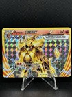 Pyroar BREAK