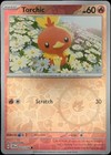 Torchic