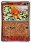 Torchic
