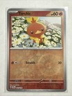 Torchic