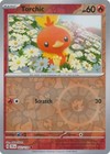 Torchic