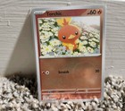 Torchic