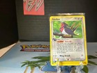 Swellow