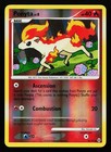 Ponyta