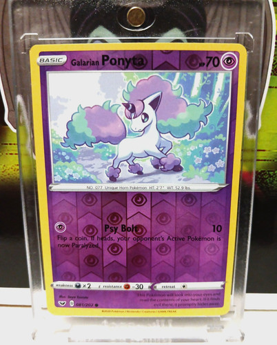 Ponyta