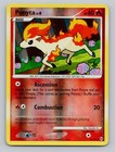 Ponyta