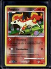 Ponyta