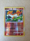Ponyta