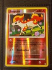 Ponyta