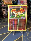 Ponyta
