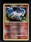 Ponyta