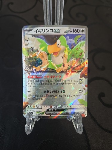 Squawkabilly ex