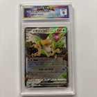 Squawkabilly ex