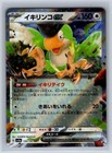 Squawkabilly ex