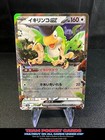 Squawkabilly ex
